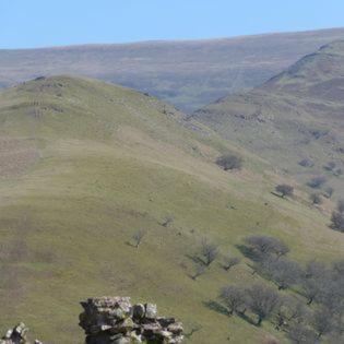 Dinas Castle Inn Brecon Luaran gambar